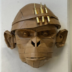 APE SOLDIERS