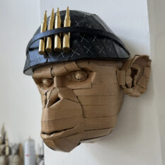 APE SOLDIERS