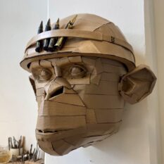 APE SOLDIERS